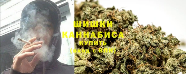 стафф Михайлов