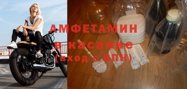 стафф Михайлов