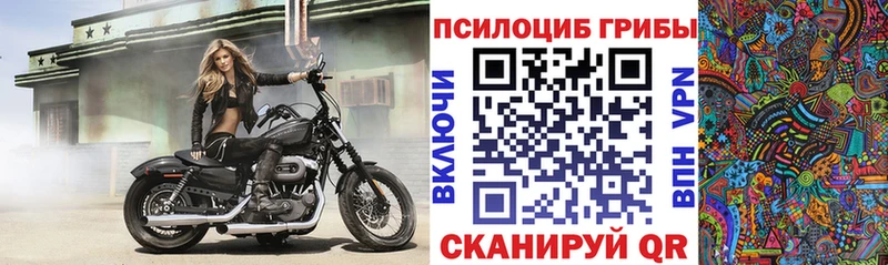 Псилоцибиновые грибы Cubensis  Мышкин 